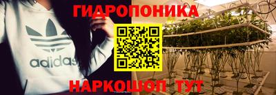 спиды Шелехов