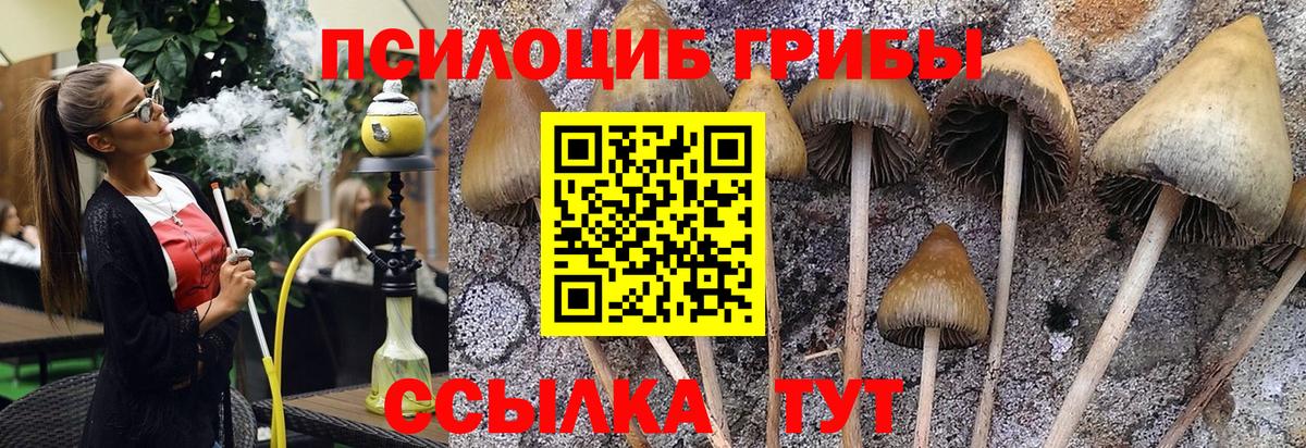 Псилоцибиновые грибы GOLDEN TEACHER  Вход с VPN  Бузулук 