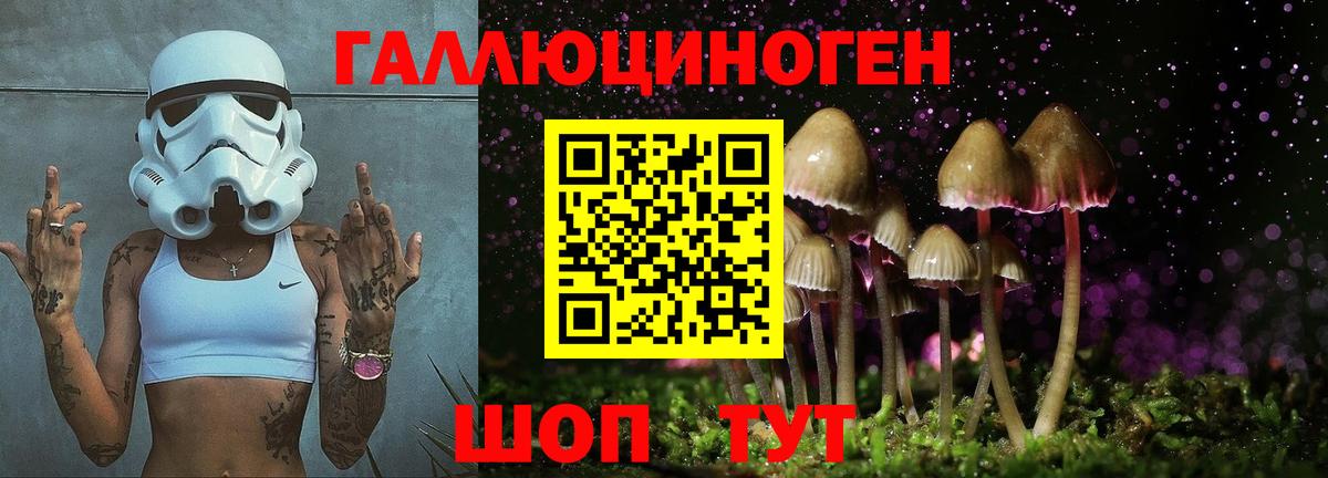 Псилоцибиновые грибы мицелий Бузулук